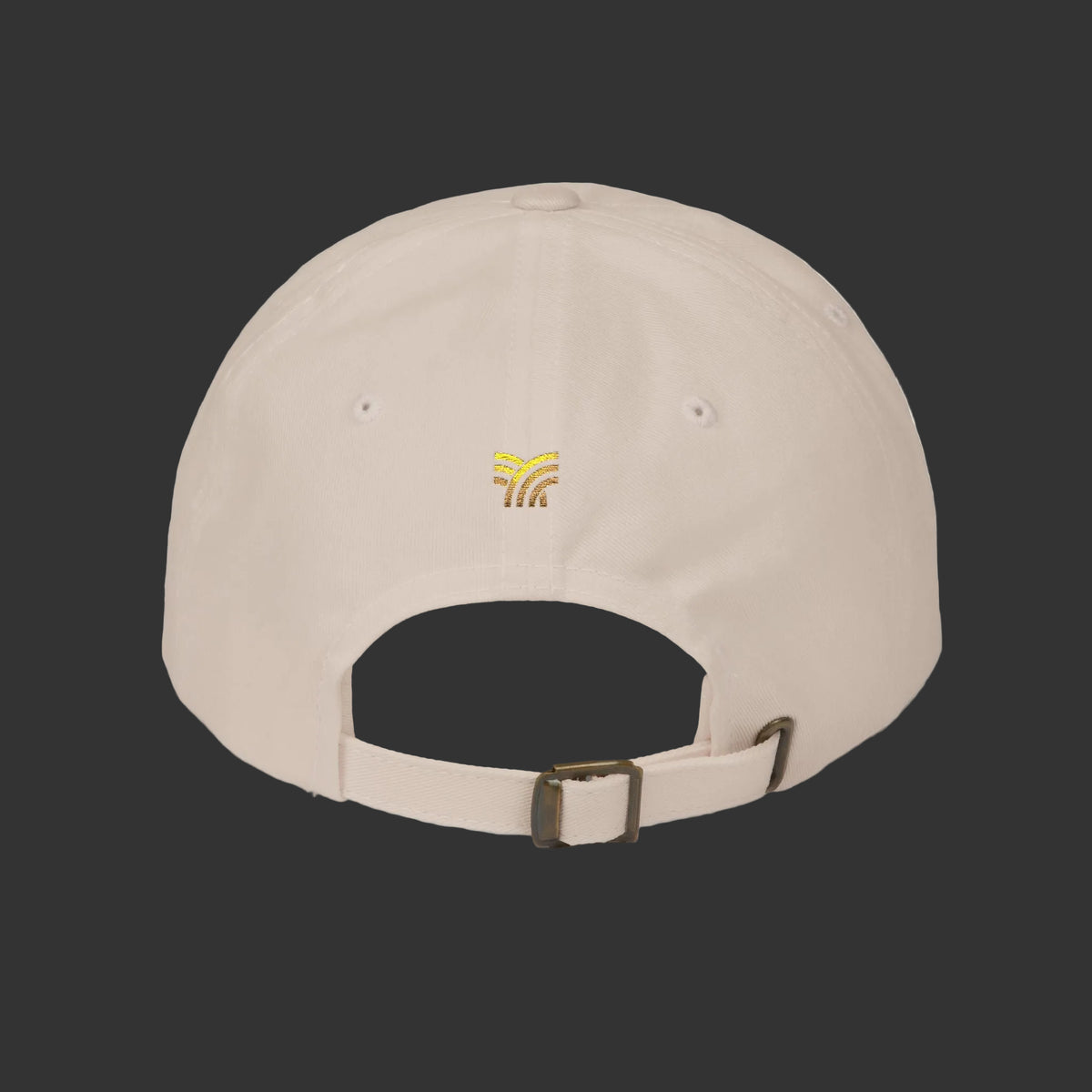 Beige cap with a dark gray back panel and visible brand logo on a grey background